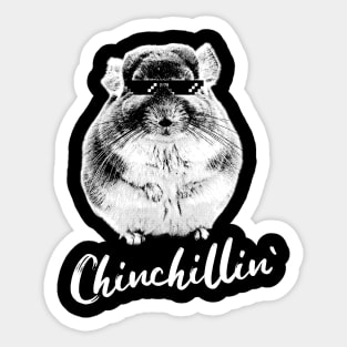 Chinchillin Sticker